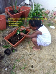 Here are 5 things you need to know about gardening - Segilola Salami