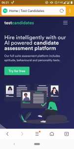 Review of TEST CANDIDATES | Psychometric test provider